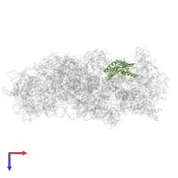 30S ribosomal protein S3, chloroplastic in PDB entry 8jiw, assembly 1, top view.