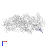 40S ribosomal protein S18 in PDB entry 8jiw, assembly 1, top view.