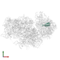 Small ribosomal subunit protein uS10 domain-containing protein in PDB entry 8jiw, assembly 1, front view.