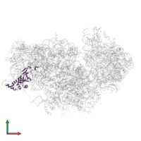 40S ribosomal protein S8 in PDB entry 8jiw, assembly 1, front view.