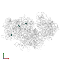 Modified residue OMG in PDB entry 8jiw, assembly 1, front view.