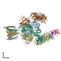 PDB entry 8jj2 coloured by chain, front view.