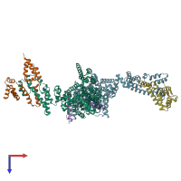 PDB entry 8jj6 coloured by chain, top view.