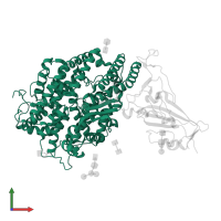 Processed angiotensin-converting enzyme 2 in PDB entry 8jje, assembly 1, front view.