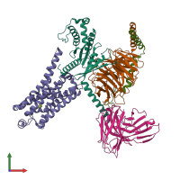 Hetero pentameric assembly 1 of PDB entry 8jlj coloured by chemically distinct molecules, front view.