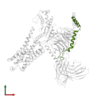 Guanine nucleotide-binding protein G(I)/G(S)/G(O) subunit gamma-2 in PDB entry 8jlj, assembly 1, front view.