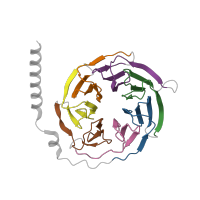 The deposited structure of PDB entry 8jlo contains 7 copies of Pfam domain PF00400 (WD domain, G-beta repeat) in Guanine nucleotide-binding protein G(I)/G(S)/G(T) subunit beta-1. Showing 7 copies in chain B.