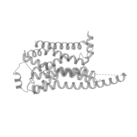 The deposited structure of PDB entry 8jlo contains 1 copy of Pfam domain PF07361 (Cytochrome b562) in Soluble cytochrome b562. Showing 1 copy in chain C [auth R] (this domain is out of the observed residue ranges!).