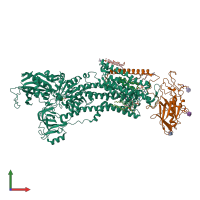 PDB entry 8jmn coloured by chain, front view.