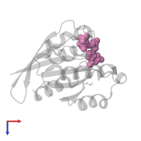 PHOSPHOAMINOPHOSPHONIC ACID-GUANYLATE ESTER in PDB entry 8jqu, assembly 1, top view.