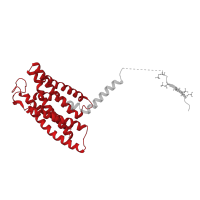 The deposited structure of PDB entry 8jru contains 1 copy of Pfam domain PF00002 (7 transmembrane receptor (Secretin family)) in Activation peptide. Showing 1 copy in chain A [auth R].