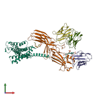 PDB entry 8jru coloured by chain, front view.