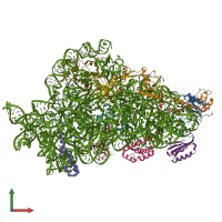 PDB entry 8jsh coloured by chain, front view.
