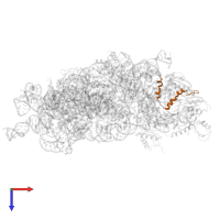 Small ribosomal subunit protein bS21 in PDB entry 8jsh, assembly 1, top view.