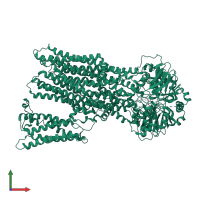 ATP-binding cassette sub-family C member 2 in PDB entry 8jxu, assembly 1, front view.
