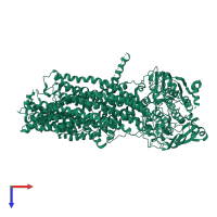 ATP-binding cassette sub-family C member 2 in PDB entry 8jxu, assembly 1, top view.