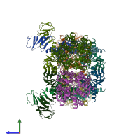 PDB entry 8k1t coloured by chain, side view.