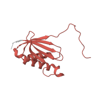 The deposited structure of PDB entry 8k3o contains 1 copy of Pfam domain PF00411 (Ribosomal protein S11) in Small ribosomal subunit protein uS11. Showing 1 copy in chain J [auth K].