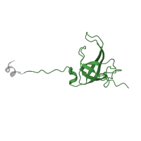 The deposited structure of PDB entry 8k3o contains 1 copy of Pfam domain PF00164 (Ribosomal protein S12/S23) in Small ribosomal subunit protein uS12. Showing 1 copy in chain K [auth L].