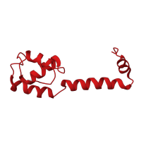 The deposited structure of PDB entry 8k3o contains 1 copy of Pfam domain PF00416 (Ribosomal protein S13/S18) in Small ribosomal subunit protein uS13. Showing 1 copy in chain L [auth M].