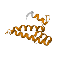 The deposited structure of PDB entry 8k3o contains 1 copy of Pfam domain PF00312 (Ribosomal protein S15) in Small ribosomal subunit protein uS15. Showing 1 copy in chain M [auth O].