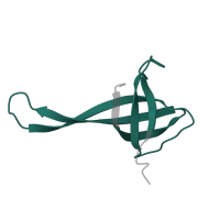 The deposited structure of PDB entry 8k3o contains 1 copy of Pfam domain PF00366 (Ribosomal protein S17) in Small ribosomal subunit protein uS17. Showing 1 copy in chain O [auth Q].