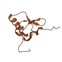 The deposited structure of PDB entry 8k3o contains 1 copy of Pfam domain PF00203 (Ribosomal protein S19) in Small ribosomal subunit protein uS19. Showing 1 copy in chain Q [auth S].