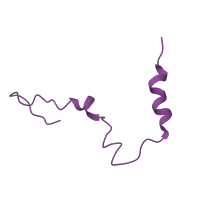 The deposited structure of PDB entry 8k3o contains 1 copy of Pfam domain PF01165 (Ribosomal protein S21) in Small ribosomal subunit protein bS21. Showing 1 copy in chain T [auth X].