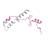 The deposited structure of PDB entry 8k3o contains 1 copy of Pfam domain PF00253 (Ribosomal protein S14p/S29e) in Small ribosomal subunit protein uS14. Showing 1 copy in chain V [auth N].