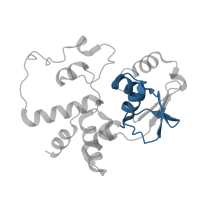 The deposited structure of PDB entry 8k3o contains 1 copy of Pfam domain PF01479 (S4 domain) in Small ribosomal subunit protein uS4. Showing 1 copy in chain C [auth D].