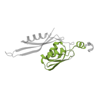 The deposited structure of PDB entry 8k3o contains 1 copy of Pfam domain PF03719 (Ribosomal protein S5, C-terminal domain) in Small ribosomal subunit protein uS5. Showing 1 copy in chain D [auth E].