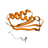 The deposited structure of PDB entry 8k3o contains 1 copy of Pfam domain PF01250 (Ribosomal protein S6) in Small ribosomal subunit protein bS6. Showing 1 copy in chain E [auth F].