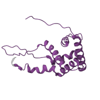 The deposited structure of PDB entry 8k3o contains 1 copy of Pfam domain PF00177 (Ribosomal protein S7p/S5e) in Small ribosomal subunit protein uS7. Showing 1 copy in chain F [auth G].