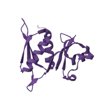 The deposited structure of PDB entry 8k3o contains 1 copy of Pfam domain PF00410 (Ribosomal protein S8) in Small ribosomal subunit protein uS8. Showing 1 copy in chain G [auth H].