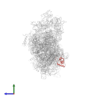 Small ribosomal subunit protein uS19 in PDB entry 8k3o, assembly 1, side view.