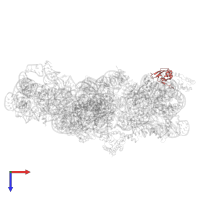 Small ribosomal subunit protein uS19 in PDB entry 8k3o, assembly 1, top view.