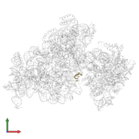 Cleaved AP-mRNA in PDB entry 8k3o, assembly 1, front view.