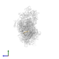 Cleaved AP-mRNA in PDB entry 8k3o, assembly 1, side view.