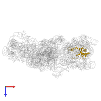 Small ribosomal subunit protein uS7 in PDB entry 8k3o, assembly 1, top view.