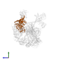 Lon protease in PDB entry 8k3y, assembly 1, side view.