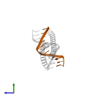 DNA (5'-D(*CP*AP*TP*TP*AP*TP*GP*TP*AP*AP*CP*G)-3') in PDB entry 8k86, assembly 1, side view.