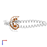 DNA (5'-D(*CP*AP*TP*TP*AP*TP*GP*TP*AP*AP*CP*G)-3') in PDB entry 8k86, assembly 1, top view.