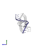 DNA (5'-D(*CP*GP*TP*TP*AP*CP*AP*TP*AP*AP*TP*G)-3') in PDB entry 8k86, assembly 1, side view.