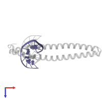 DNA (5'-D(*CP*GP*TP*TP*AP*CP*AP*TP*AP*AP*TP*G)-3') in PDB entry 8k86, assembly 1, top view.