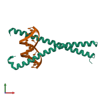 Hetero tetrameric assembly 1 of PDB entry 8k8a coloured by chemically distinct molecules, front view.