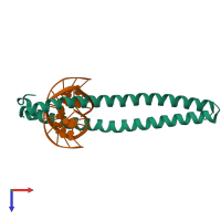 Hetero tetrameric assembly 1 of PDB entry 8k8a coloured by chemically distinct molecules, top view.