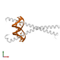 DNA (5'-D(*CP*AP*TP*TP*AP*CP*GP*TP*AP*AP*TP*G)-3') in PDB entry 8k8a, assembly 1, front view.