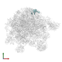 Large ribosomal subunit protein bL19 in PDB entry 8kab, assembly 1, front view.