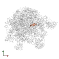 Large ribosomal subunit protein bL21 in PDB entry 8kab, assembly 1, front view.