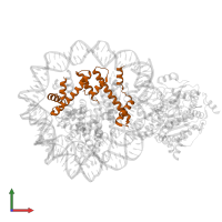 Histone H3.1 in PDB entry 8kcb, assembly 1, front view.